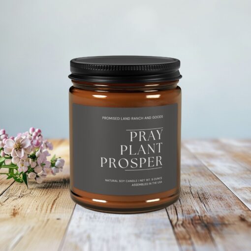 Pray Plant Prosper - Inspirational Scented Candle for Faith & Home-Amber Jar-4 & 9 ounce - Image 2