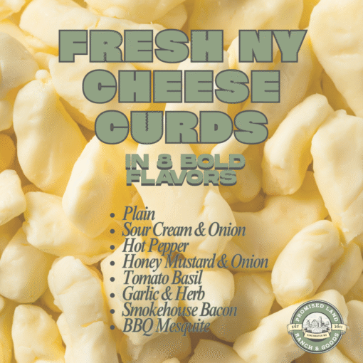 Fresh NY Cheese Curds in 8 Bold Flavors – Locally Made & Stand-Approved by Our Biggest Fans