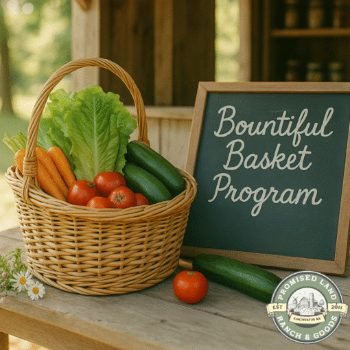 Large Bountiful Basket – Double the Farm Fresh Produce for Families & Meal Preppers - Image 2