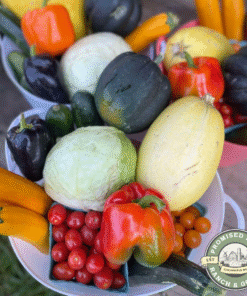 Large Bountiful Basket – Double the Farm Fresh Produce for Families & Meal Preppers