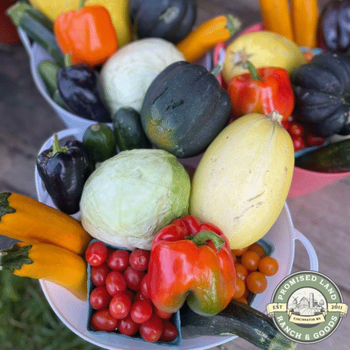Large Bountiful Basket – Double the Farm Fresh Produce for Families & Meal Preppers