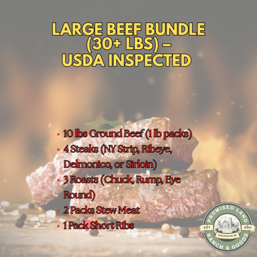 Large Beef Bundle (30+ lbs) – USDA Inspected Steaks, Roasts, Ground Beef & More for Freezer Stock-Up