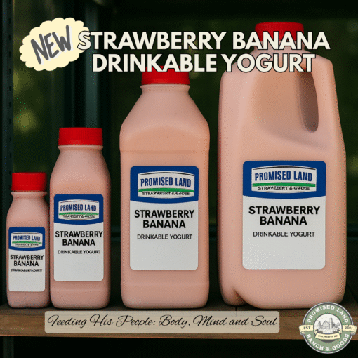 Fresh Strawberry Banana Drinkable Yogurt – Farm-Fresh, Probiotic, Real Fruit Flavor | Gallon, Half Gallon, Quart, Pint - Image 3