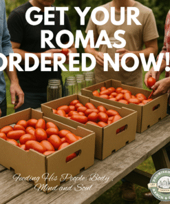 25 lb Case of Fresh Roma Tomatoes for Canning, Sauce & Salsa – Preorder Now