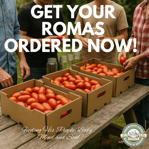 25 lb Case of Fresh Roma Tomatoes for Canning, Sauce & Salsa – Preorder Now