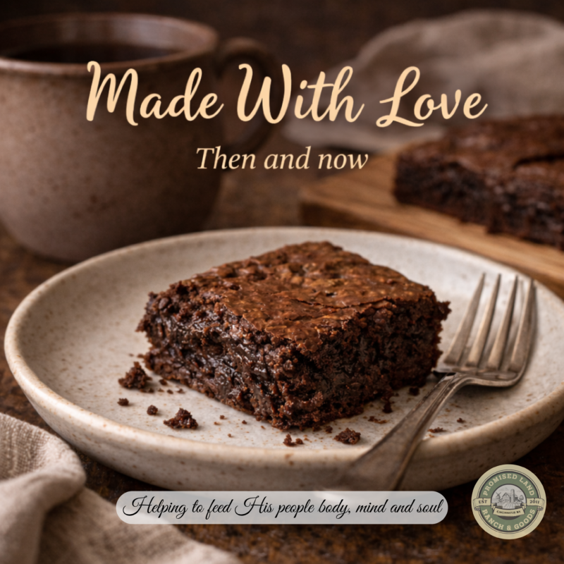 Chewy homemade brownie served on a plate with a warm mug in a cozy kitchen