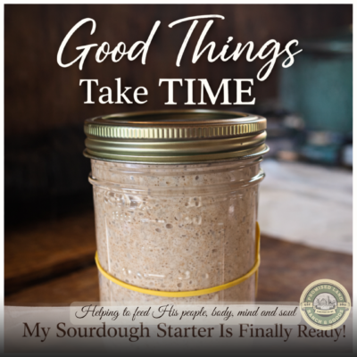 Mature sourdough starter at peak activity in a glass jar on a farmhouse kitchen counter
