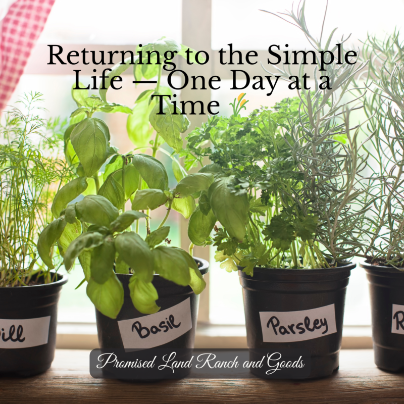 
farmstead garden herbs simple living faith filled farmhouse Promised Land Ranch and Goods