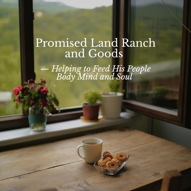 rustic farmhouse table setting simple farmstead living Promised Land Ranch and Goods plrandgoods com