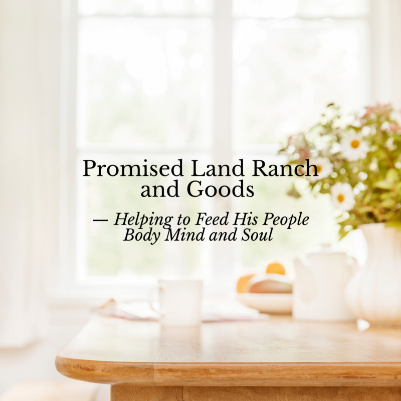farmhouse kitchen morning light Promised Land Ranch and Goods helping feed His people body mind and soul plrandgoods com