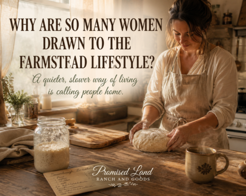 Woman shaping sourdough bread dough in a warm farmhouse kitchen with morning sunlight, sourdough starter, rustic wooden counter, and cozy slow living atmosphere.