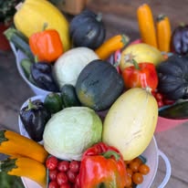 Large Bountiful Basket Subscription featuring a generously filled white harvest basket overflowing with fresh seasonal vegetables and fruit, including tomatoes, peppers, potatoes, apples, cucumbers, squash, cabbage, leafy greens, carrots, garlic, and other farm-fresh produce from Promised Land Ranch and Goods.
